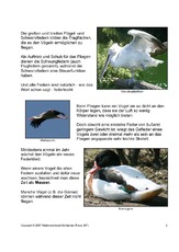 Das-Federkleid-der-Vögel-2.pdf